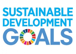 Sustainability (CSR) Workshop - 2030’s SDGs Game