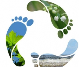 Thematic Experiential Learning – Reduce Carbon Footprint in Daily Life